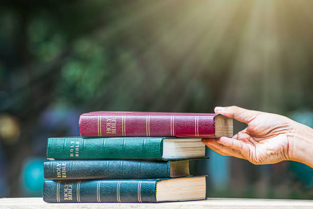 Hand holding a Bible, nature background